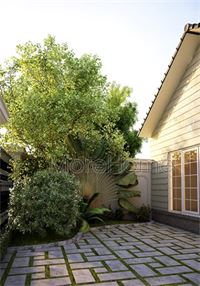 Thiết kế biệt thự vườn nhà anh Yên, Hồ Chí Minh