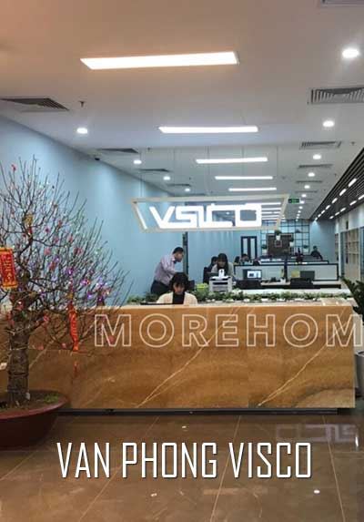 Thi công nội thất văn phòng công ty Du học VISCO 